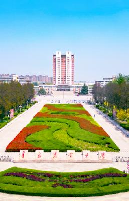 青岛农业大学艺术学院举办第一届创意文化节