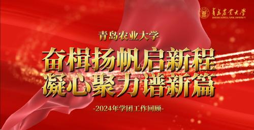 2024年度学团风采展示