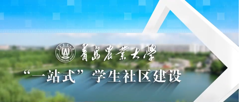 “一站式”学生社区建设